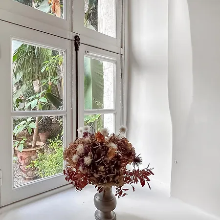 Oasis Calme En Plein Centre De Appartamento