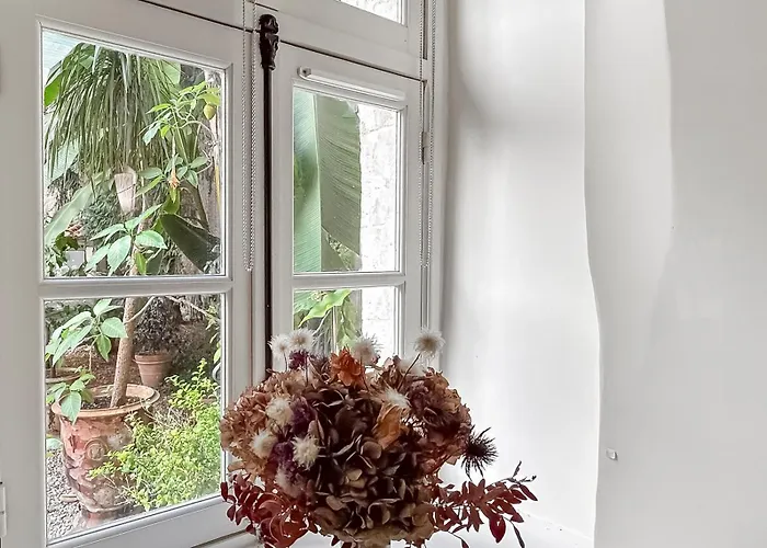 Oasis Calme En Plein Centre De Appartement